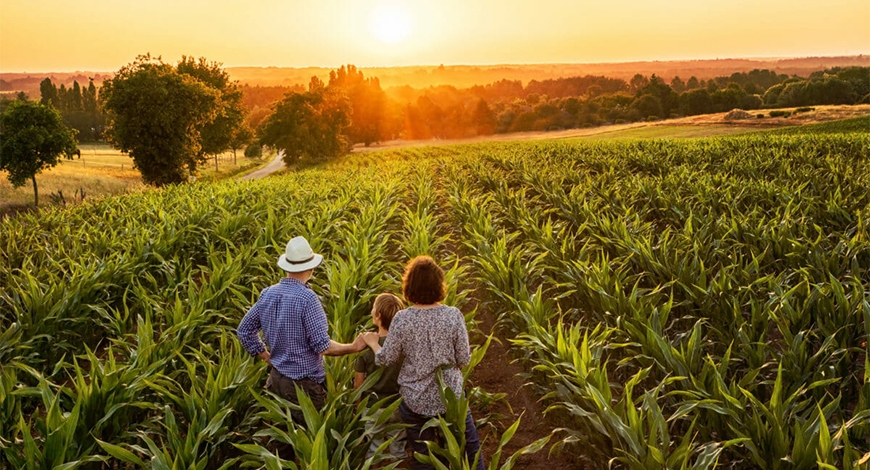 The importance of family farming in Brazil