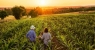 The importance of family farming in Brazil